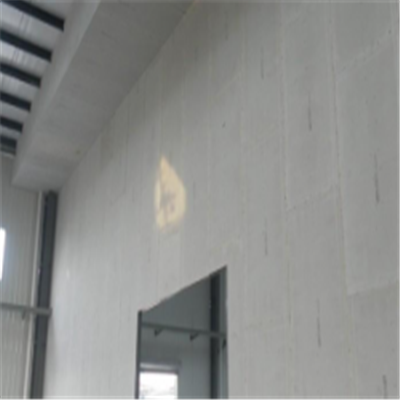 绿春新型建筑材料掺多种工业废渣的ALC|ACC|FPS模块板材轻质隔墙板